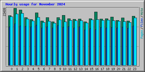 Hourly usage for November 2024